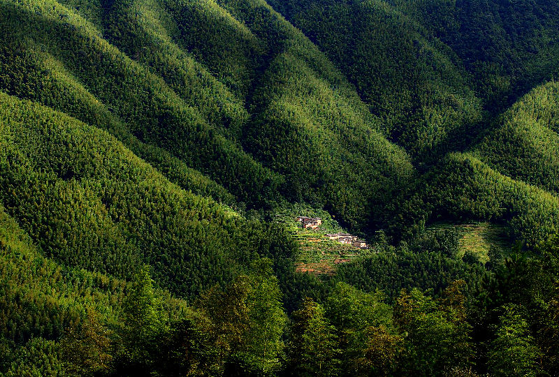 始興縣北山竹海.jpg