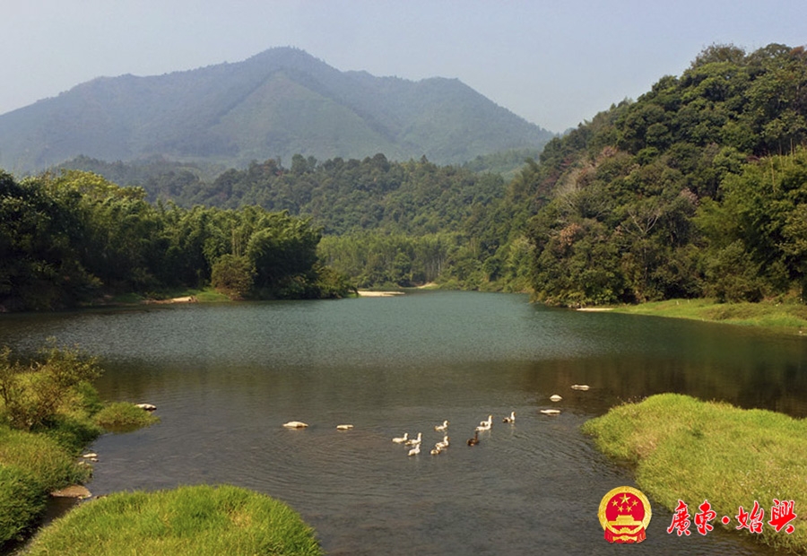 肖慶華《深渡水風(fēng)光》