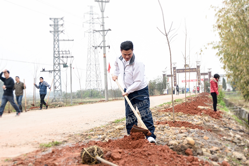 全民植樹 為始興增綠添彩